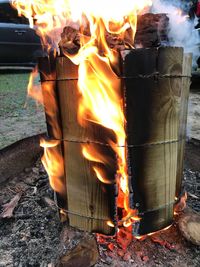 Bonfire on wooden log