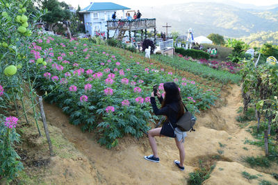 Rear view of woman on flowering plants