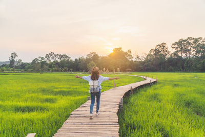 Rear view of woman with arms outstretched walking on boardwalk amidst rice farm