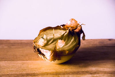 Close-up of dried fruits on table