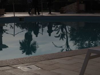 Reflection of trees in swimming pool