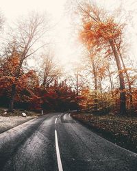 Road passing through trees