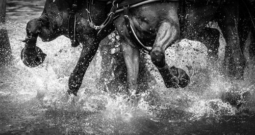 Low section of horses splashing water while running on shore