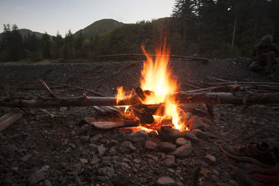 Bonfire in forest at night