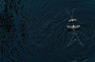 High angle view of rippled water