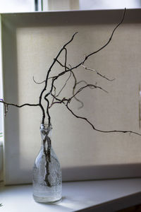Close-up of vase on table against wall at home