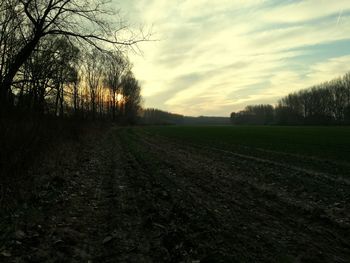 Scenic view of field against sky during sunset