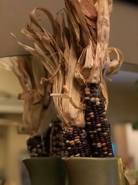 Close-up of flower vase