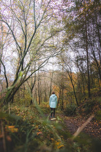 Rear view of man walking in forest