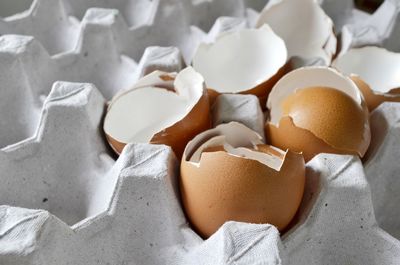 Eggshells in paper egg tray