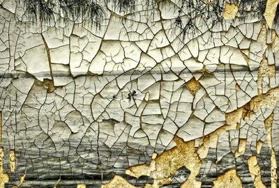 Full frame shot of cracked pattern