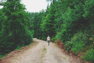 Rear view of woman walking amidst trees in forest