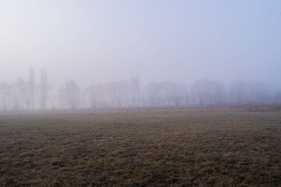 Scenic view of field against sky during foggy weather