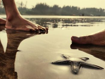 Low section of man in lake