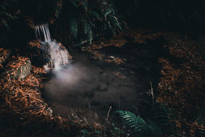 Scenic view of waterfall in forest