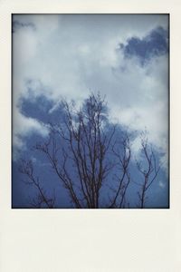 Low angle view of bare trees against cloudy sky