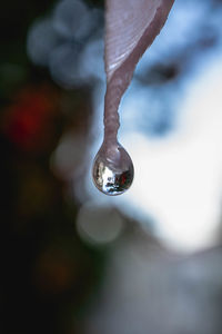 Close-up of hand holding water drop