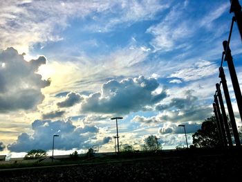 Low angle view of silhouette plants against sky during sunset