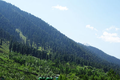 Scenic view of forest against sky