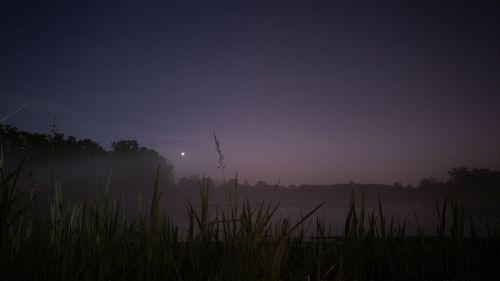 Scenic view of field against sky at night