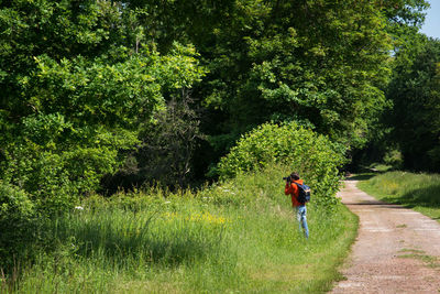 Man photographing in forest