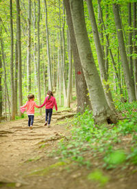 Rear view of people walking in park