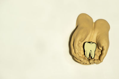 Close-up of human hand against white background