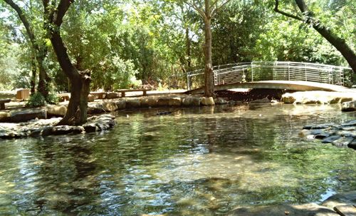 Footbridge over river