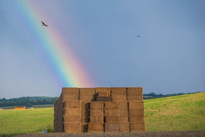 Scenic view of rainbow over field