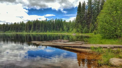 Scenic view of lake in forest against sky