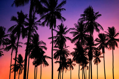 Silhouette palm trees against twilight sky during dusk