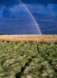 Scenic view of field against rainbow in sky