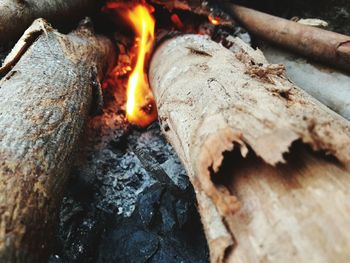 Close-up of wood