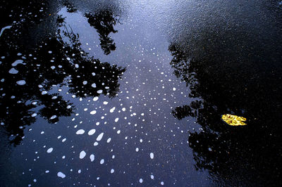 Close-up of snow on sea at night