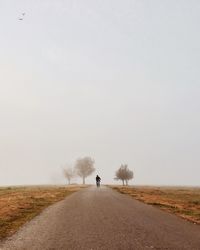 Road passing through landscape