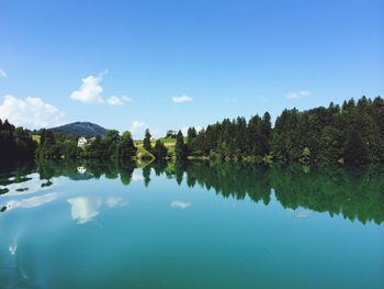 Reflection of trees in calm lake