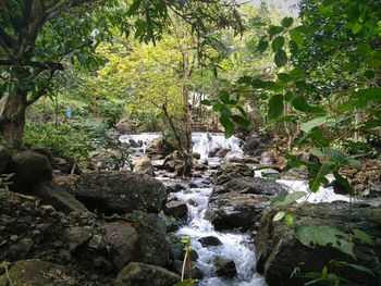 Close-up of waterfall against trees