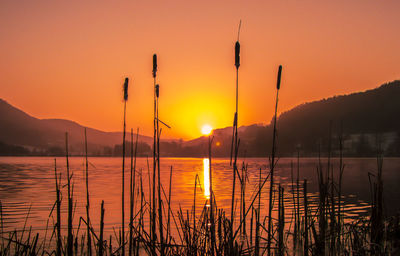 Scenic view of lake against orange sky