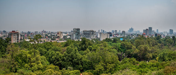 Trees and buildings in city against sky