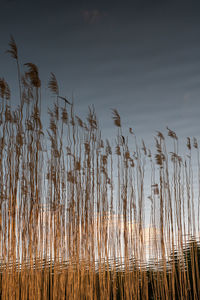 Scenic view of lake against sky at sunset