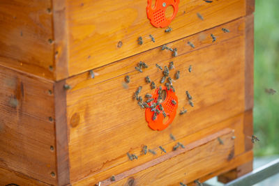 Close-up of wooden box