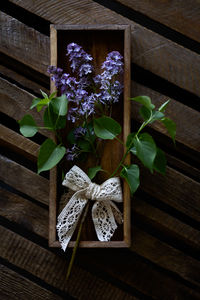 High angle view of potted plant on table