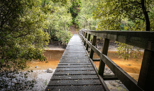 Footbridge amidst trees in forest