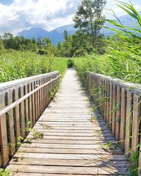 View of wooden footbridge along plants