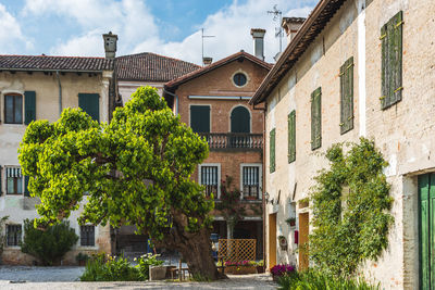 Trees and buildings in town against sky