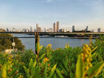 Scenic view of river by buildings against sky