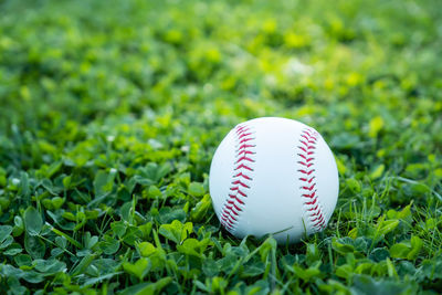 Close-up of ball on grassland