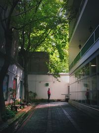 Rear view of man walking on street amidst buildings