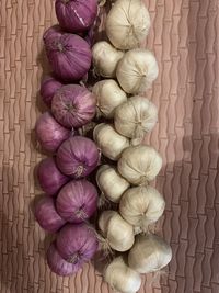 High angle view of eggs on table