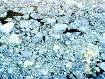 Close-up of frozen water